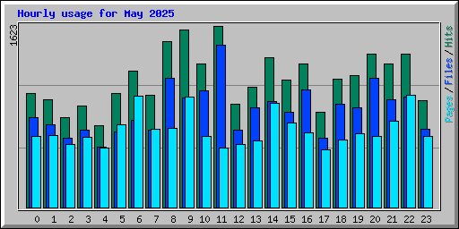 Hourly usage for May 2025