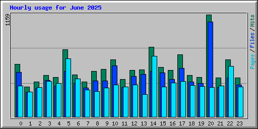 Hourly usage for June 2025