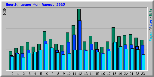 Hourly usage for August 2025