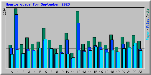 Hourly usage for September 2025