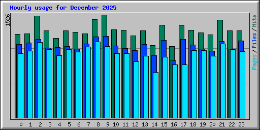 Hourly usage for December 2025