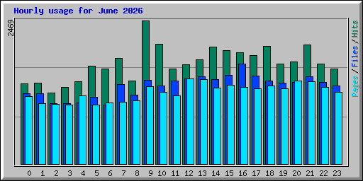 Hourly usage for June 2026
