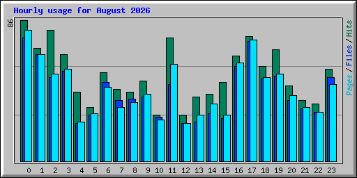 Hourly usage for August 2026